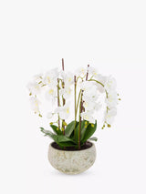 Floralsilk Artificial White Orchid in Clay Pot Decorative Artificial Plant