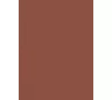 Yves Saint Laurent Rouge Pur Couture The Slim Velvet Radical Lipstick