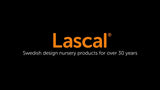Lascal Mini BuggyBoard in grey for pushchairs, UK version