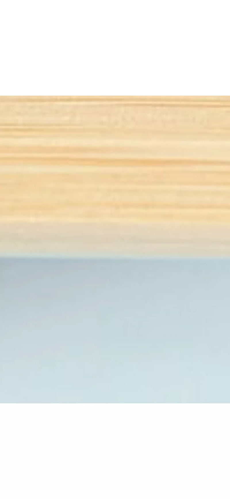 eco rascals Toddler Suction Plate