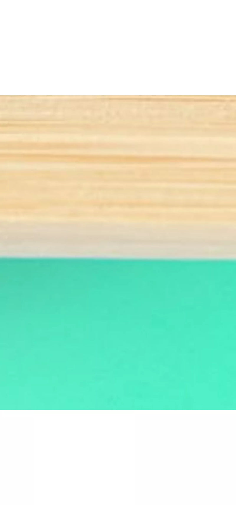 eco rascals Toddler Suction Plate