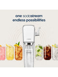 SodaStream Classics Ginger Ale Drink Mix 440ml (British brand)