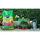 Miracle-Gro Peat Free All Purpose Compost 40L, imported from the UK