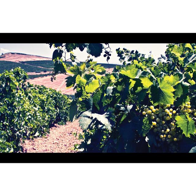 Terra Organica Prosecco 75cl GOODS M&S