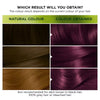 Garnier Nutrisse Ultra Colour 4.26 Permanent Hair Dye, UK version