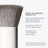 Morphe Portrait Mode 5 Piece Face Brush Set, imported from the UK