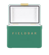 Insulated Mini Cooler Box with Leather Sling and 4-Litre Capacity