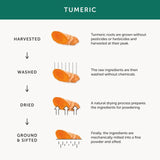 Together WholeHerb Curcumin & Turmeric Root Capsules 30 per pack GOODS M&S