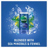 Radox Feel Awake Shower Gel 2-in-1 60ml, imported from the UK