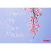 Blistex Lip Infusions Nourish Lip Balm 3.7g - British product