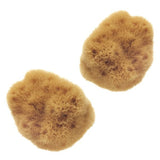 Hydrea London Mediterranean Sea Sponge Set 2.5-3 Inch, UK version