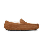 UGG Suede Ascot slippers (British brand)