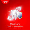Colgate Cavity Protection Regular Flavour Toothpaste 75ml - British product