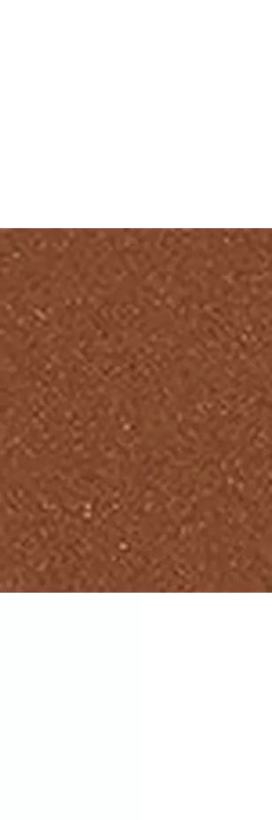 Charlotte Tilbury Unreal Skin Foundation Stick - McGrocer