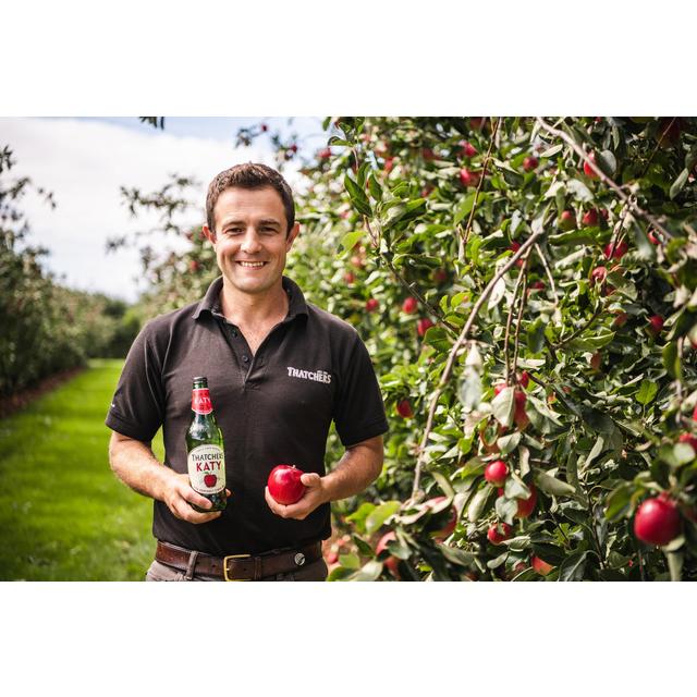 Thatchers Cider Katy 500ml GOODS M&S