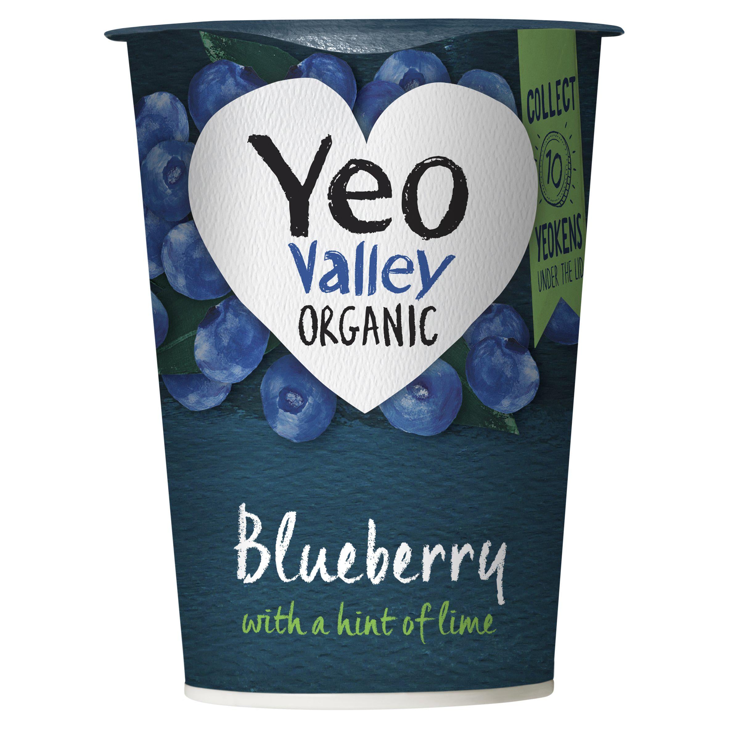 Yeo Valley Organic Blueberry & Lime Yogurt 450g GOODS Sainsburys