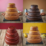 Nude Cakes 4 Tiered Sponge Cake in 4 Flavours Celebration Cake 6.9kg
