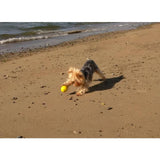 SportsPET High Bounce Ball For Pets Dog Toy 6cm GOODS M&S