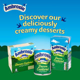 Ambrosia Devon Custard 1kg - McGrocer