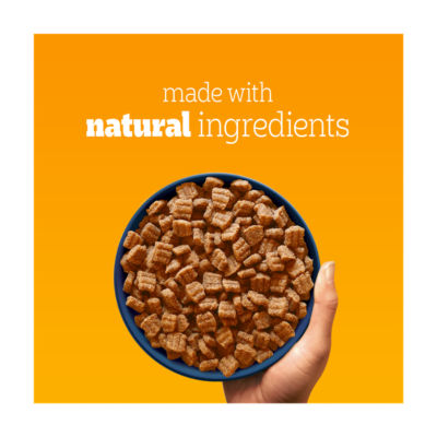 Pedigree dog food for small adult dogs, poultry flavour 2.6kg, imported from the UK