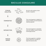 Together Multibiotic Microbiome Support Capsules 30 per pack GOODS M&S