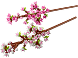 Lego Cherry Blossoms Building Set 430 Pieces