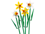 LEGO Daffodils Botanical Floral Set Buildable Flower Display 216 Pieces