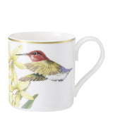 Villeroy & Boch Amazonia Bone Porcelain Espresso Cup