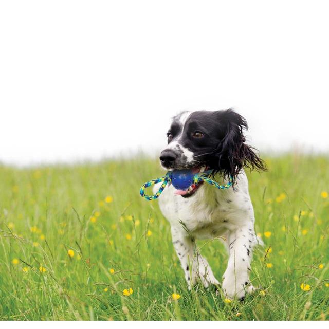 Zeus K9 Fitness Ball Double Tug GOODS M&S