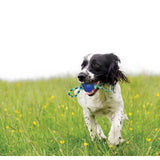 Zeus K9 Fitness Ball Double Tug GOODS M&S