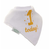 Ziggle 1 Today Birthday Bandana Bib