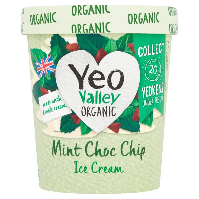 Yeo Valley Mint Choc Chip Ice Cream 500ml GOODS M&S