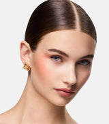Dual-Purpose Long-Lasting Blush and Eyeshadow Powder 8g
