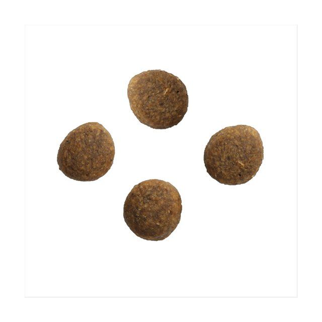 Crave Natural Grain Free Adult Dry Cat Food Salmon & Whitefish 750g