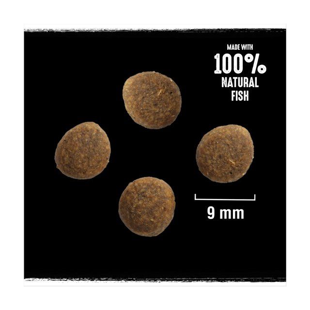 Crave Natural Grain Free Adult Dry Cat Food Salmon & Whitefish 750g