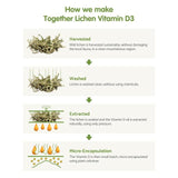 Together Women's Multivitamins & Minerals Supplement Vegetable Capsules 30 per pack GOODS M&S