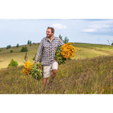 Weleda Arnica Bumps and Bruises Spray Vegan 20ml GOODS M&S