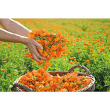 Weleda Calendula Cuts & Grazes Spray Vegan 20ml GOODS M&S