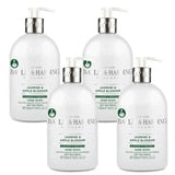 Baylis & Harding Hand Wash with 2 varieties 4 x 500ml - British product