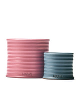 Small Cypress Balls Scented Candle in Terracotta Vessel 170g