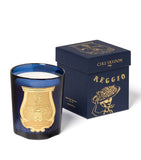 Trudon Reggio citrus mandarin mimosa scented candle 270g (British brand)