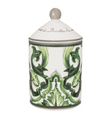 Dolce&Gabbana Casa Sicilian Neroli and Lemon Scented Candle 340g