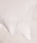 Dust Mite Pillowcase Protector Pair in Cotton, 50cm x 90cm