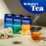Tetley Fresh Mint tea bags 20ct (British brand)