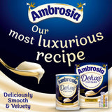 Ambrosia Deluxe Vanilla Custard 400g can - British product