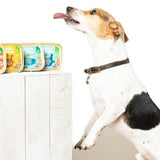 Edgard & Cooper Adult Grain Free Wet Dog Food with Organic Fish