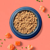 Tailscom Inner Vitality Sensitive Grain Free Adult Dog Dry Food Salmon