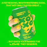 XOXO Sparkling Ginger Lemon