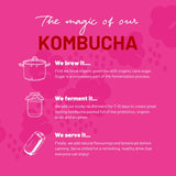 One Living Raspberry Kombucha Multipack