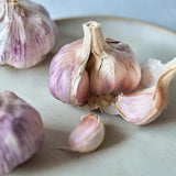 Natoora Purple Garlic